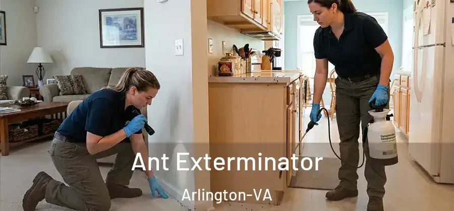 Ant Exterminator Arlington-VA