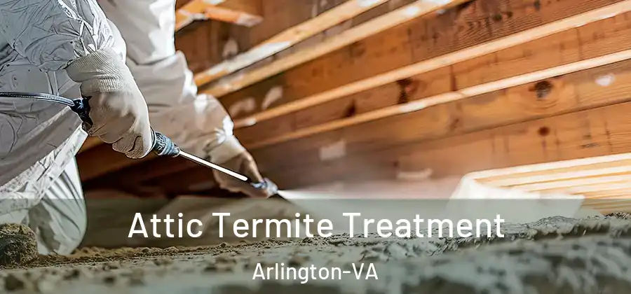 Attic Termite Treatment Arlington-VA