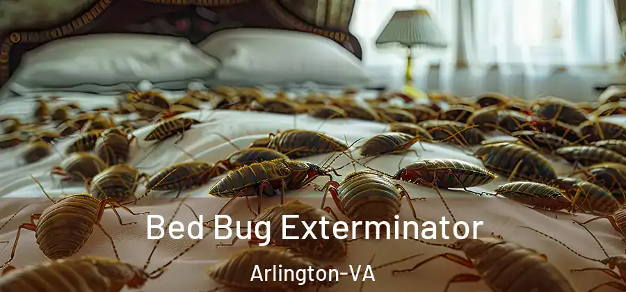  Bed Bug Exterminator Arlington-VA
