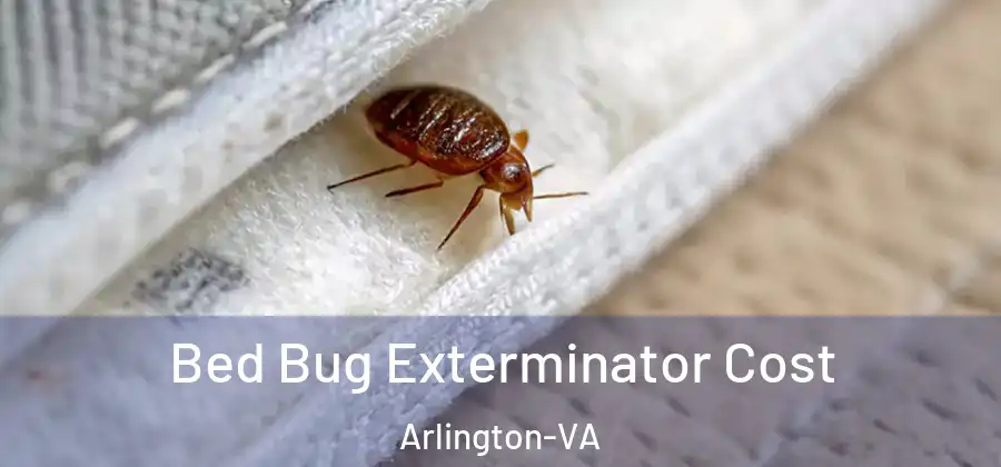  Bed Bug Exterminator Cost Arlington-VA