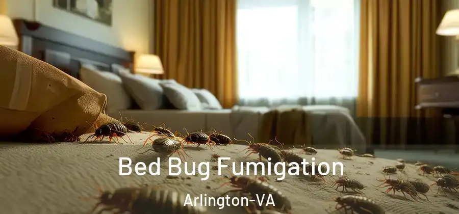Bed Bug Fumigation Arlington-VA
