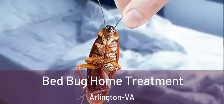  Bed Bug Home Treatment Arlington-VA