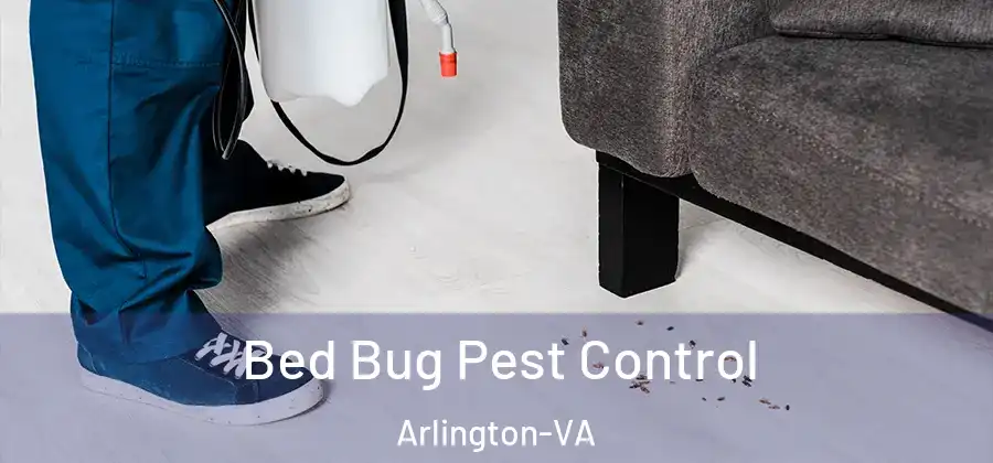 Bed Bug Pest Control Arlington-VA