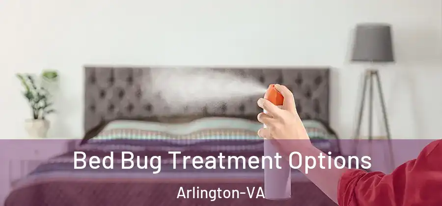 Bed Bug Treatment Options Arlington-VA