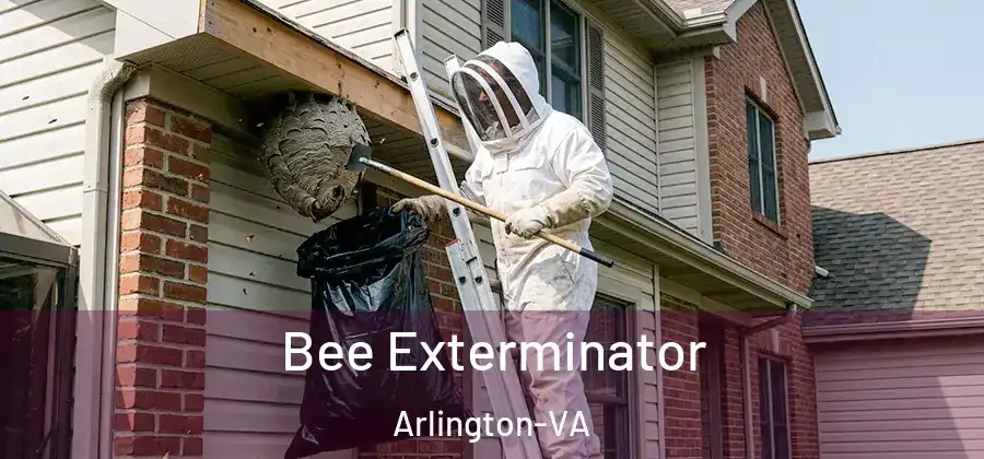  Bee Exterminator Arlington-VA