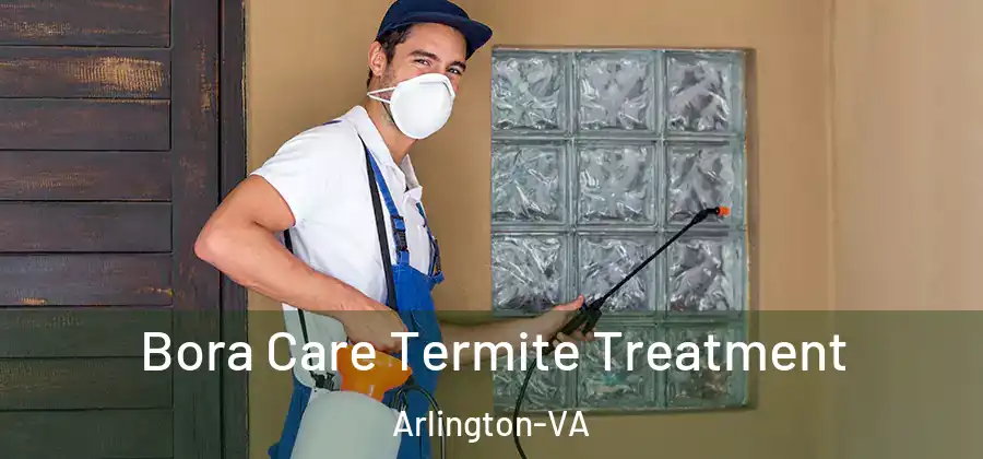 Bora Care Termite Treatment Arlington-VA