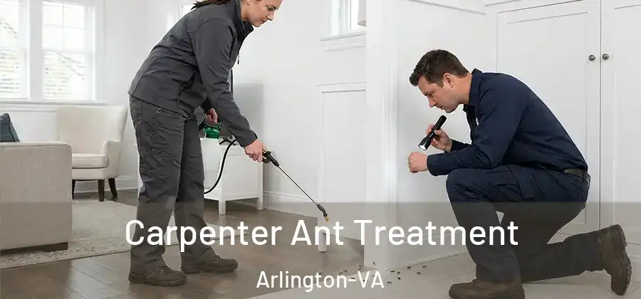  Carpenter Ant Treatment Arlington-VA