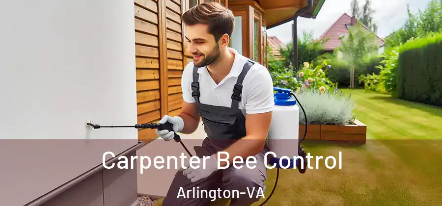  Carpenter Bee Control Arlington-VA