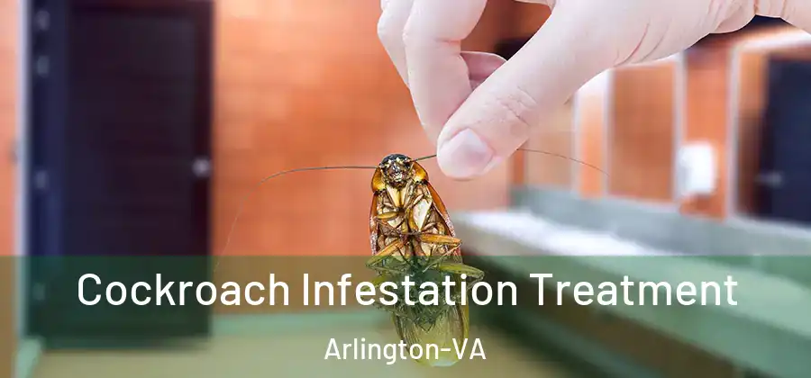  Cockroach Infestation Treatment Arlington-VA
