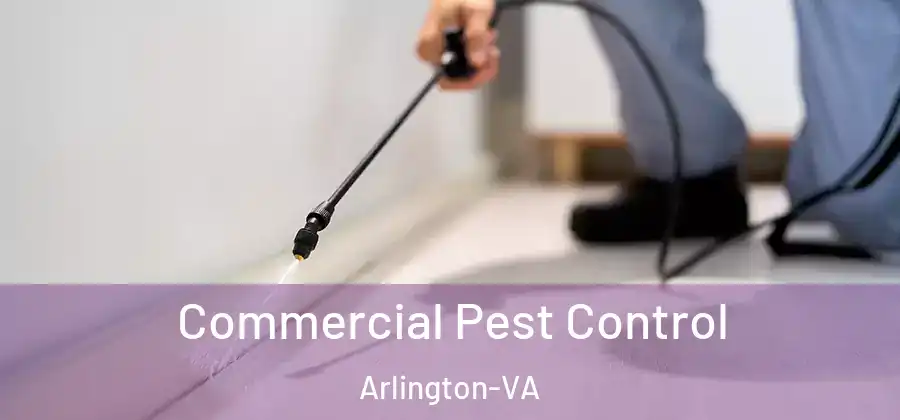 Commercial Pest Control Arlington-VA
