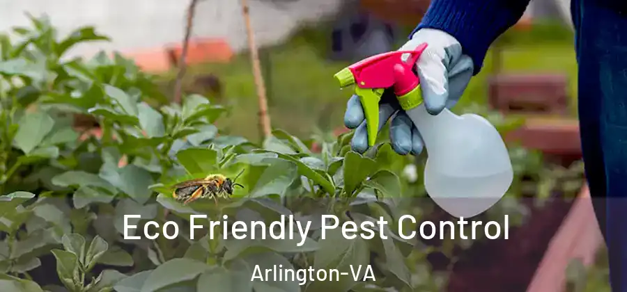 Eco Friendly Pest Control Arlington-VA