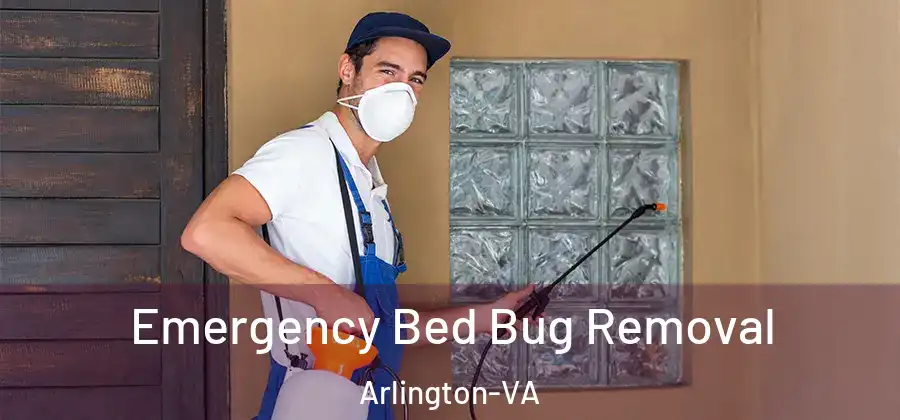 Emergency Bed Bug Removal Arlington-VA