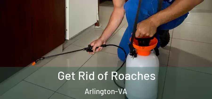  Get Rid of Roaches Arlington-VA