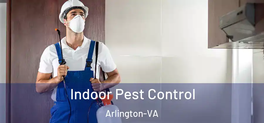Indoor Pest Control Arlington-VA