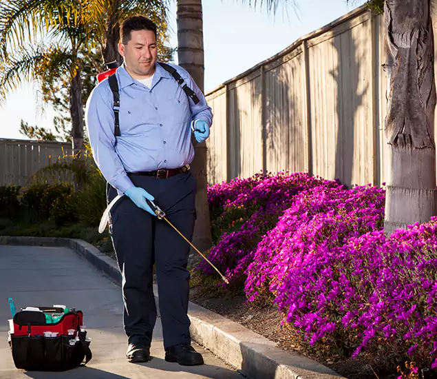 About Our Eco Safe Pest Control Experts in Arlington, VA