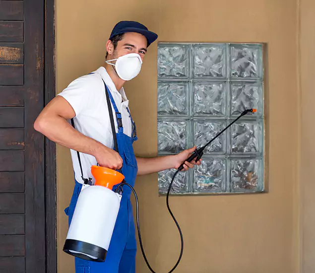 Your Reliable Pest Control in Arlington, VA