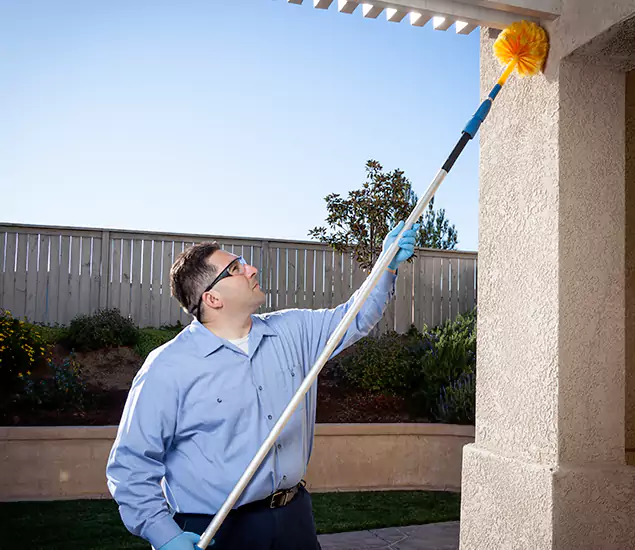 Trusted Experts in Arlington VA for Formosan Termite Treatment and Black Termite Control