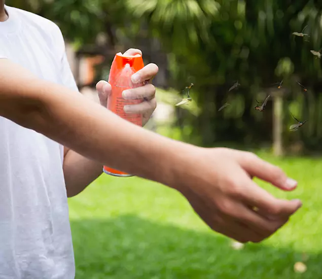 Your Best Indoor Bug Killer Team in Arlington, VA