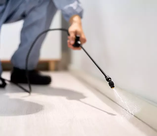 About Our Liquid Termite Treatment Experts in Arlington, VA