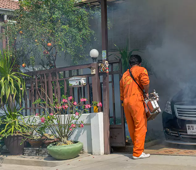 Your Proven Mosquito Fogging Company in Arlington, VA