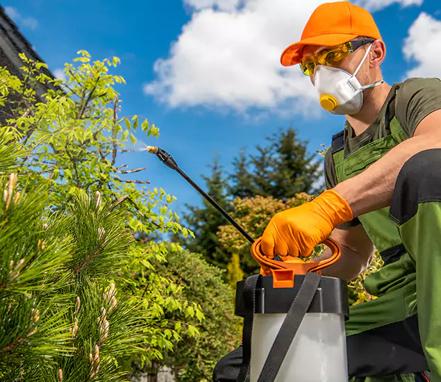 Your Best Bug Spray for Home Team in Arlington, VA