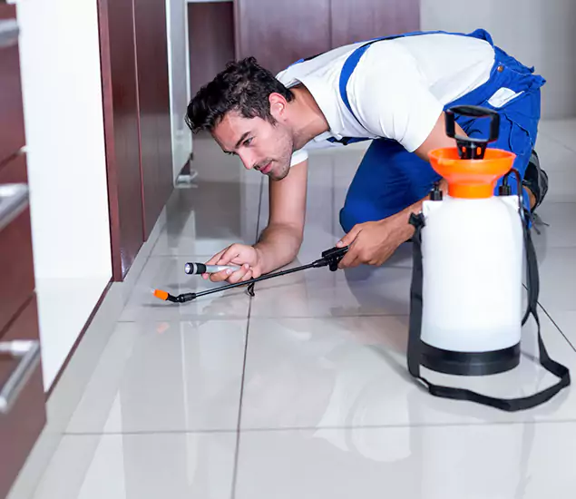 Reliable Professional Mouse Removal: Your Best Mouse Control Company in Arlington, VA