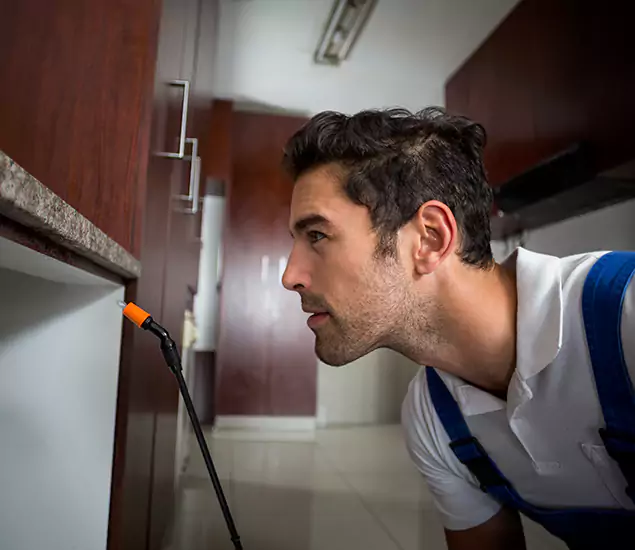 Expert Rodent in Attic Removal: Your Proven Pest Specialists in Arlington, VA