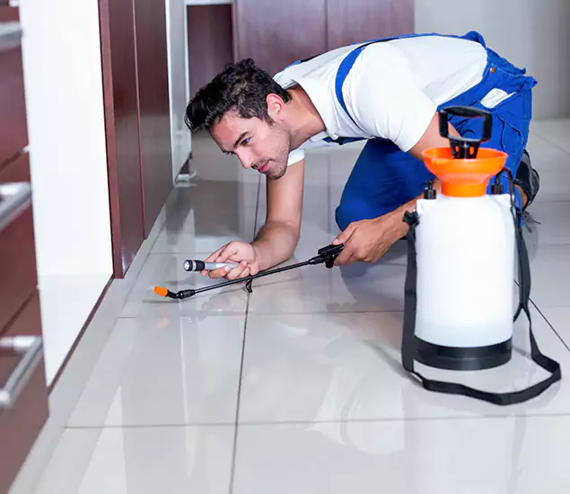 Advanced Slab Termite Treatment Experts You Can Trust&nbsp;in Arlington, VA