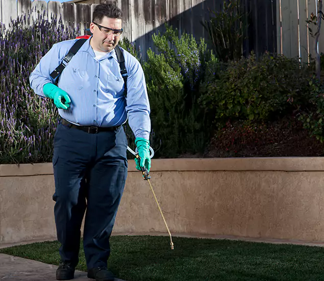 Reliable Termite Barrier Treatment Experts in Arlington, VA