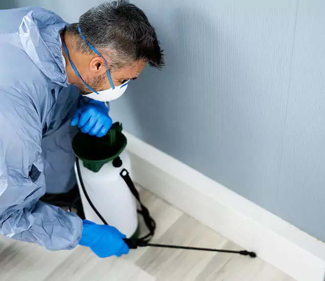 Reliable Termite Cost Experts in Arlington, VA