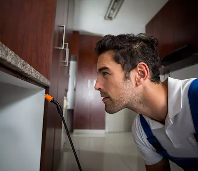 Termite Inspection Cost Experts You Can Trust in Arlington, VA