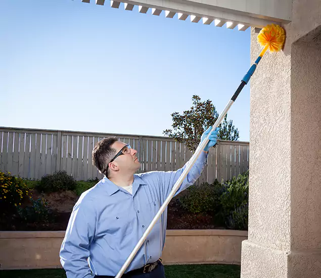 Your Trusted Wasp Removal Company in Arlington, VA