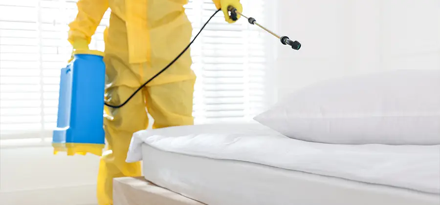 Targeted Chemical Application in Arlington