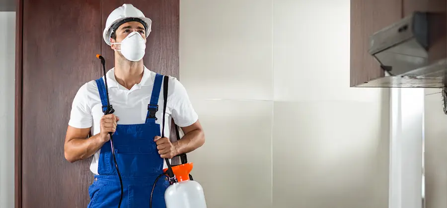 Per Room Bed Bug Cost in Arlington