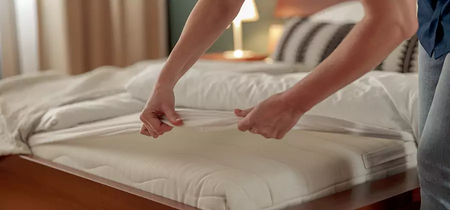 Bed Bug Extermination Services in Arlington