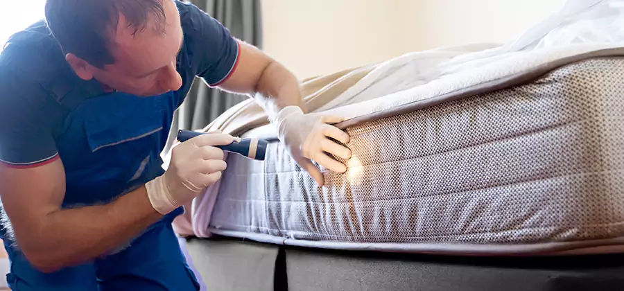 24 Hour Bed Bug Pest Control in Arlington