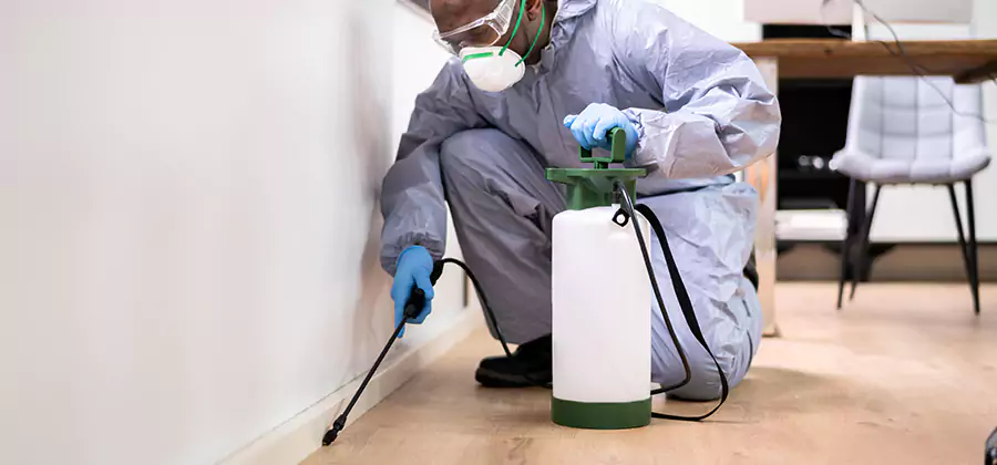 Long Lasting Mosquito Treatment in Arlington
