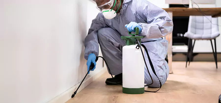 No Tent Termite Extermination With Electric Tool in Arlington