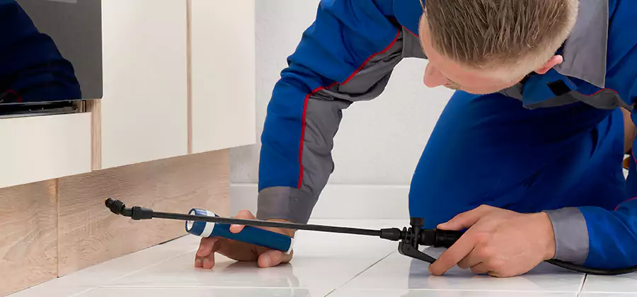 Moisture Treatment For Termite Control Service in Arlington