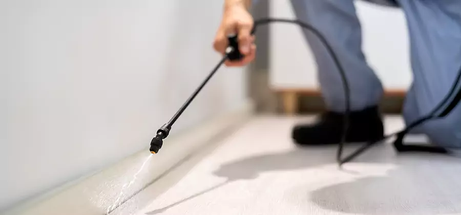 Direct Termite Injection Treatment in Arlington