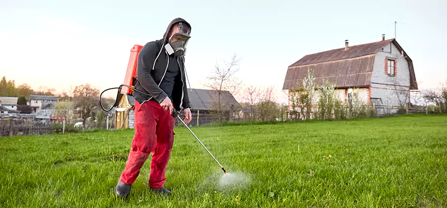 Flea and Tick Pest Control in Arlington