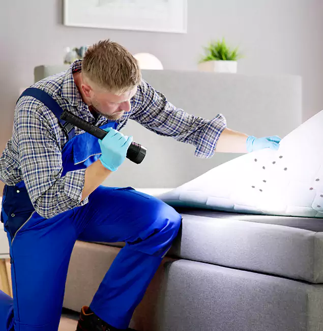 Why Choose Arlington Pest Control Pro for Bed Bug Exterminator Cost in Arlington, VA?