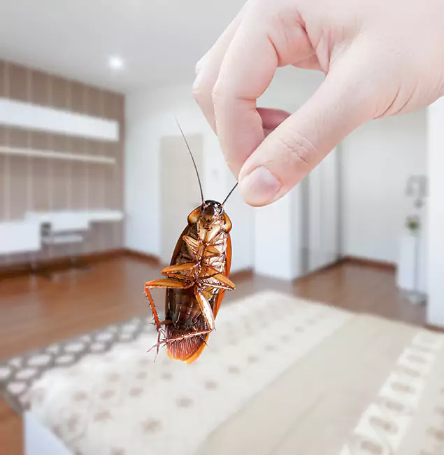 Why Arlington Pest Control Pro Stand Out for Bed Bug Fumigation in Arlington, VA?