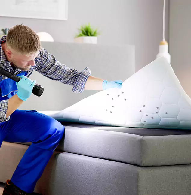 Why Choose Arlington Pest Control Pro in Arlington, VA?