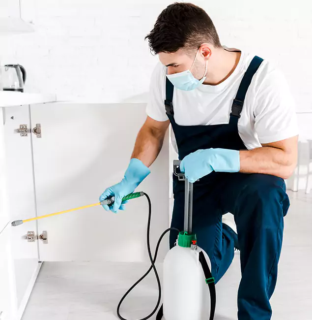 Why Choose Arlington Pest Control Pro for Emergency Pest Control in Arlington?