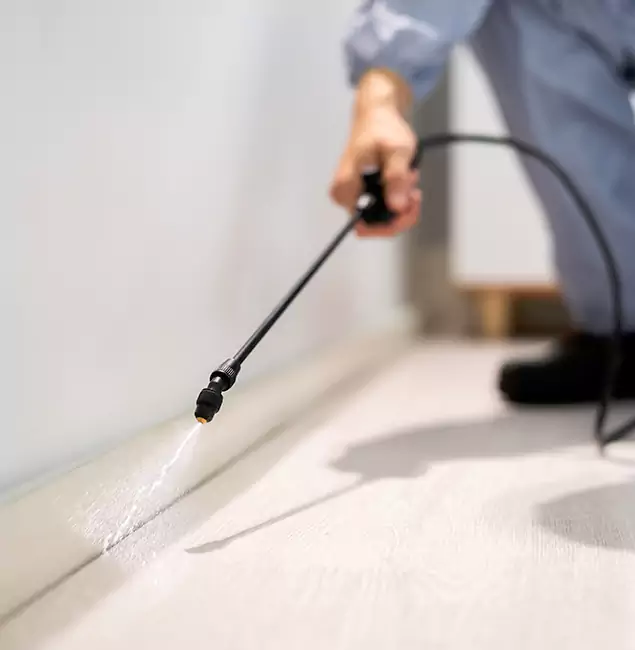Why Choose Arlington Pest Control Pro for Termite Treatment in Arlington, VA?