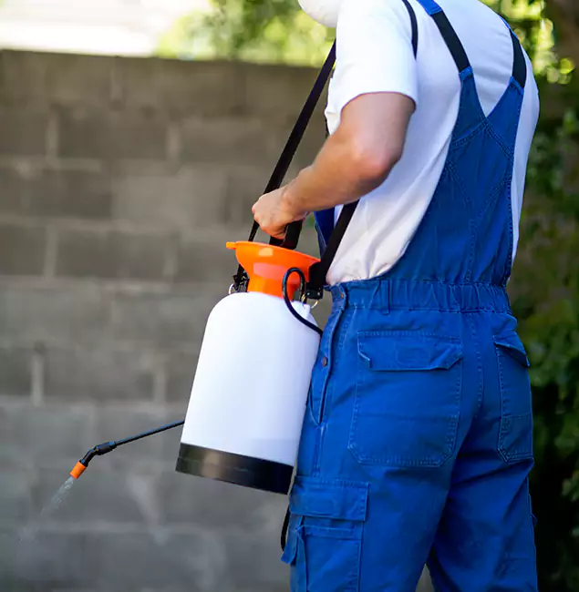 Why Arlington Homeowners Rely on Arlington Pest Control Pro for Mosquito Control?