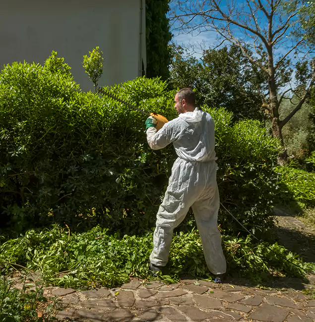 Why Arlington Pest Control Pro Leads Mosquito Control in Arlington, VA?