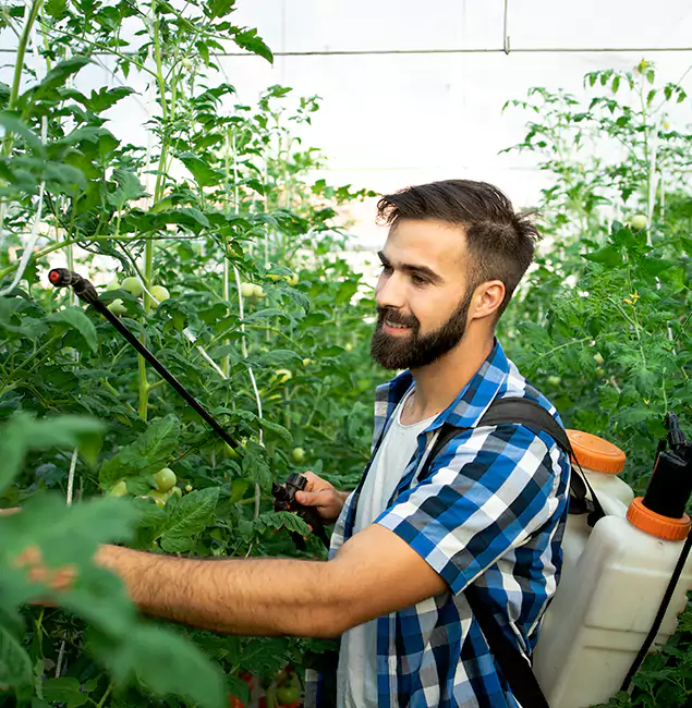 Why Arlington Homeowners Choose Arlington Pest Control Pro for Mosquito Spraying?