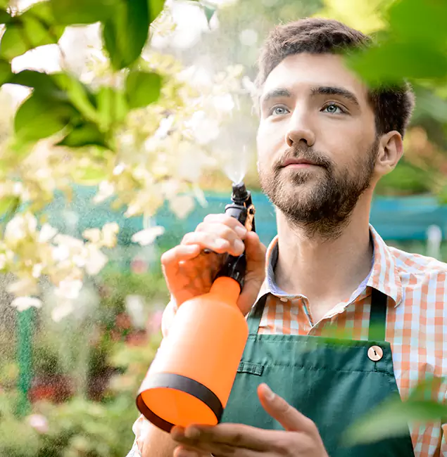 Why Arlington Homeowners Call Arlington Pest Control Pro for Mosquitoes in House?